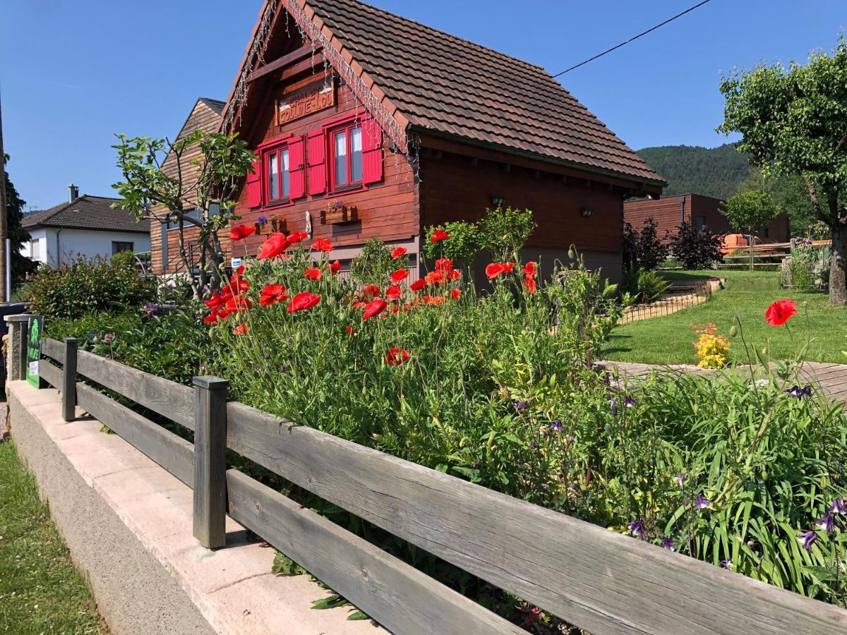 Chalet Colline Et Lou 万泽费勒当 外观 照片